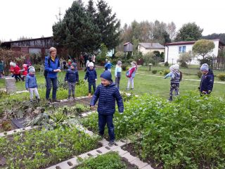Zakończenie II edycji projektu pn. „Dzieci uczą się Ogrodnictwa”